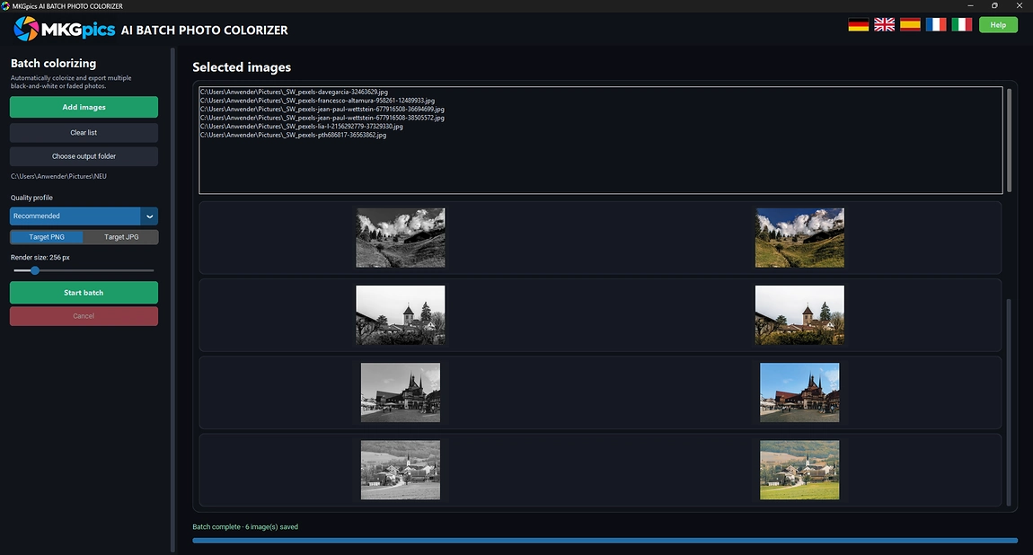 Batch AI Photo Colorizer