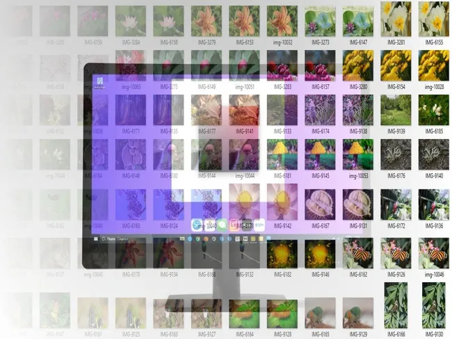 Duplicate Photo Finder Reviews