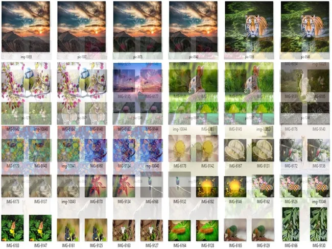 Duplicate Photos Fixer Pro Full Version