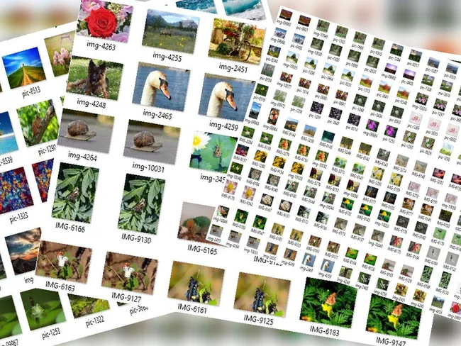Visually Similar Duplicate Image Finder