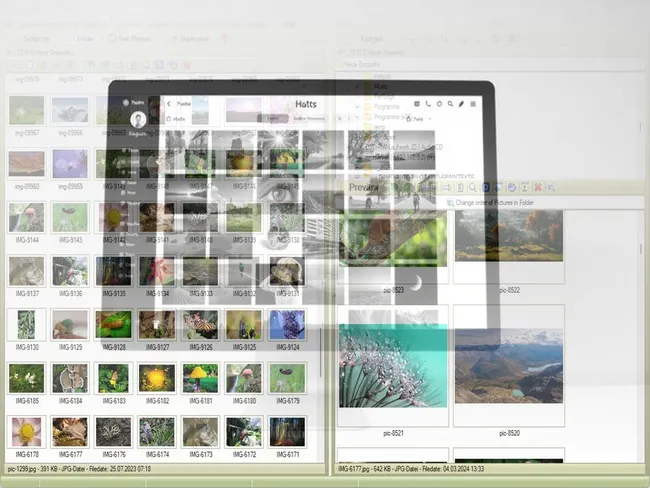 Best Photo Storage and Organization
