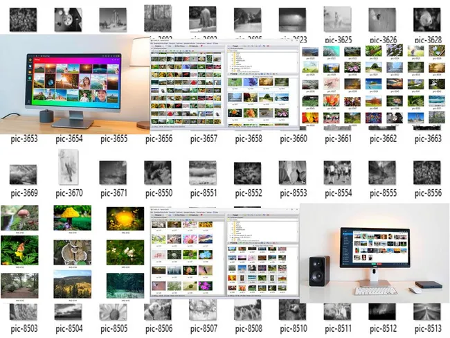 Best Solution for Storing Digital Photos