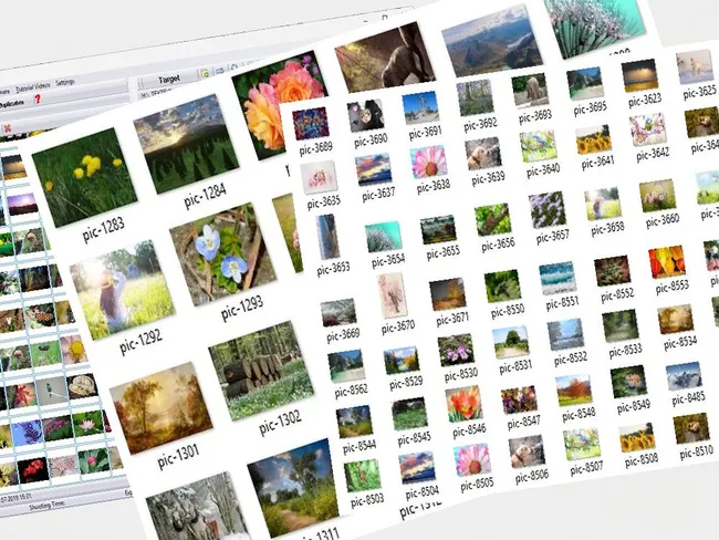 Best Way to Keep Pictures Organized