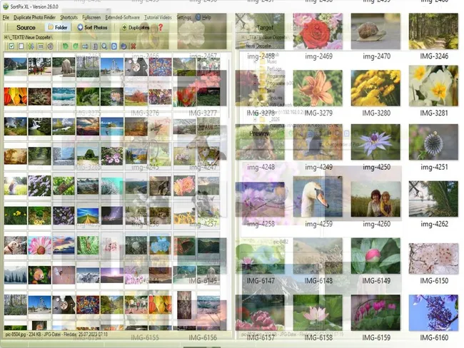Digital Photo Management