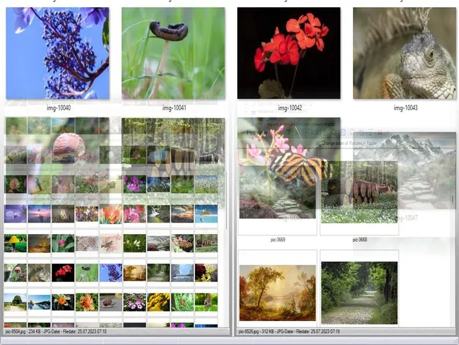 Easy Way to Organize Photos