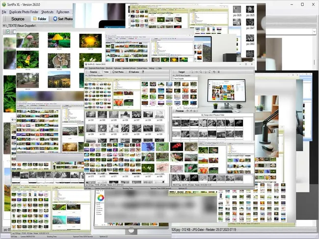 Photo Library Organizer