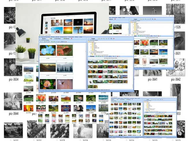 Professional Photo Organizer