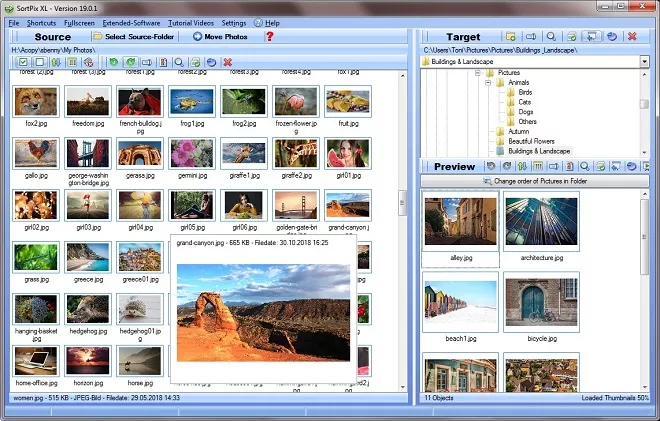 Organizador de fotos para Windows 10