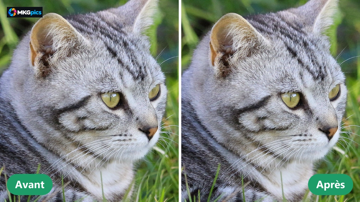 Agrandir les photos avec l'IA